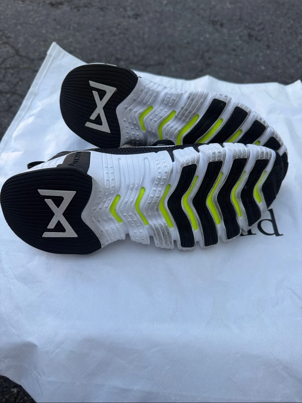Nike  Women Black and White Flexible Training Sneakers